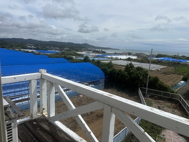 ２階和室８畳から撮りました。