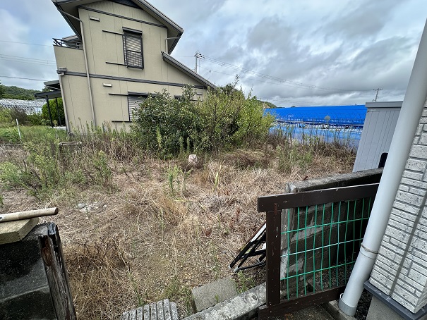 北側の菜園畑です。