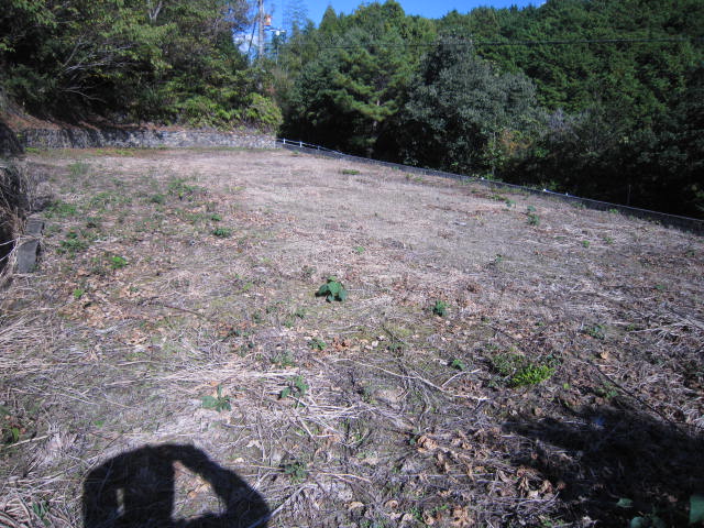 屋敷は東向きなので陽当りは良いです。