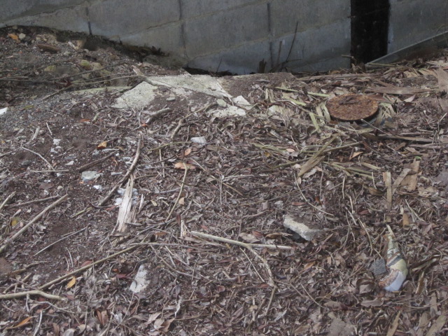 水洗の浄化槽です、掃除をすれば使用できます。