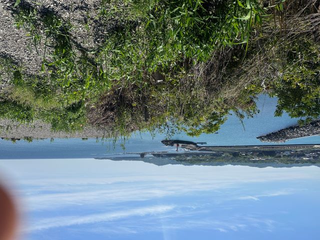 雑草が邪魔ですが印南湾が一望できます。