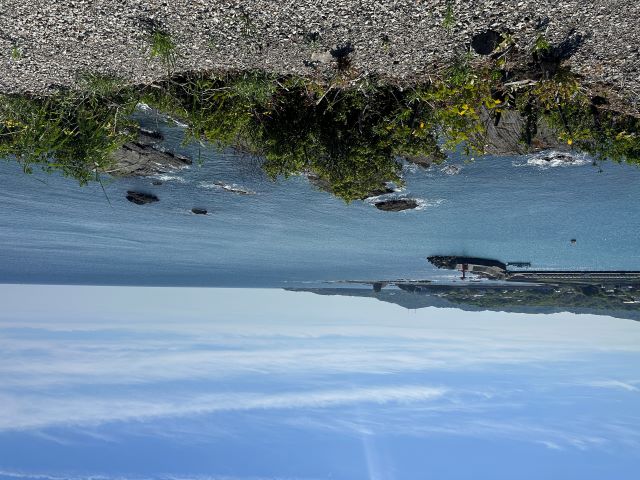 遮る物は何尾も有りません。