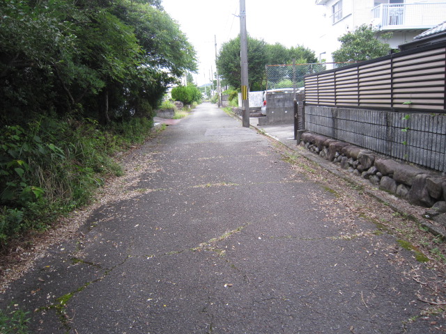 道路を北から南に向かって撮りました。