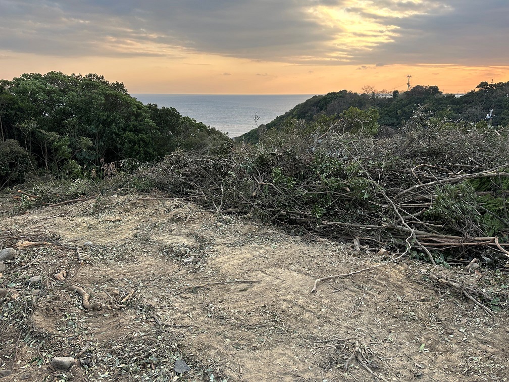 此の日は丁度夕日が沈む頃でした。