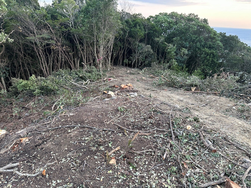 周辺に建物は有りません。