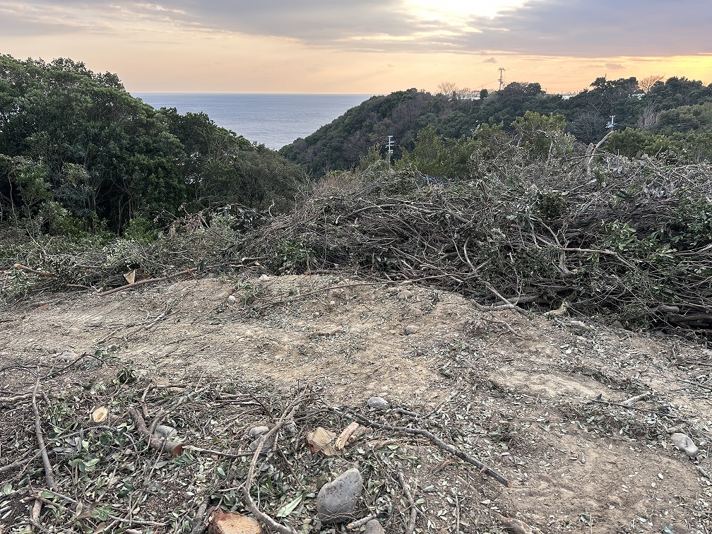木が生い茂てましたので伐採しました。