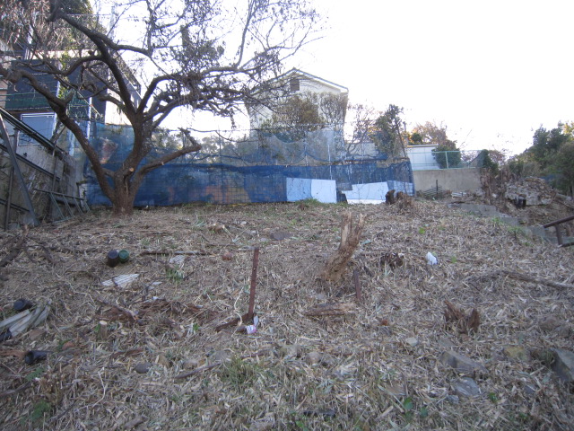 屋敷内に南高梅も植えられています。