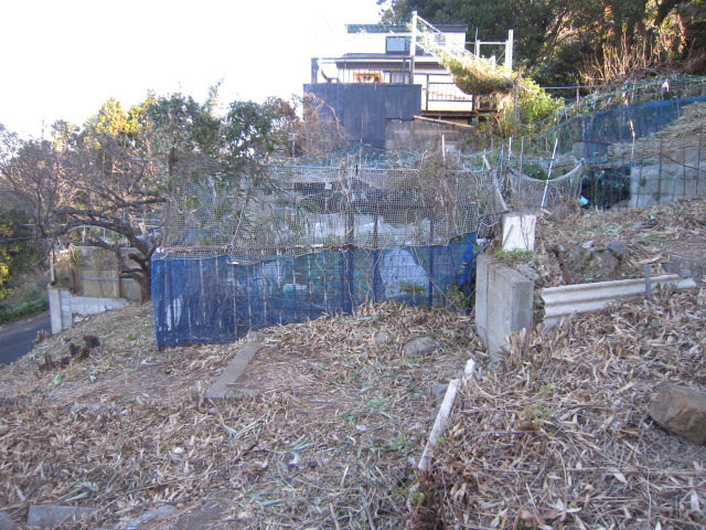 屋敷に雑木は有りませんが全体的に地均しが必要です。