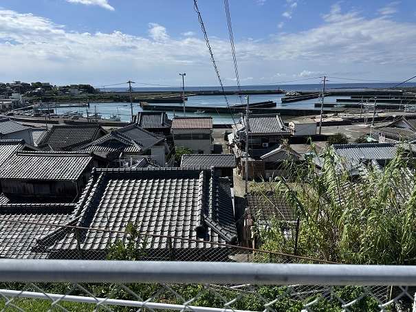 道路から撮りました。